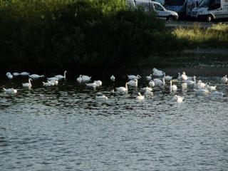 DSC03428.JPG