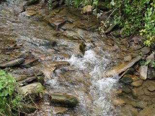 DSC03181.JPG