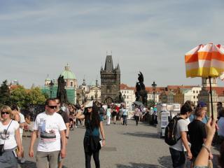 DSC03378.JPG