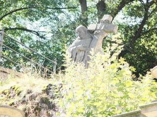DSC03554.JPG