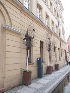 P1010055.JPG