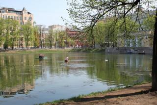 IMG_4389.JPG