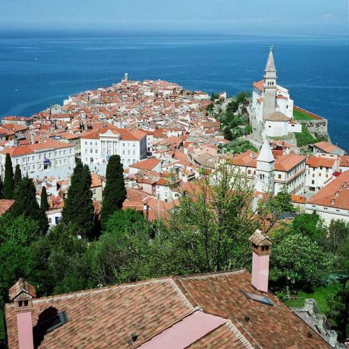 piran-011.jpg