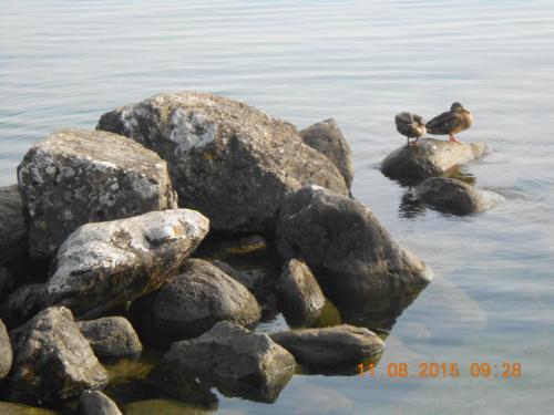 DSCN4249.JPG