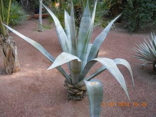DSCN5411.JPG