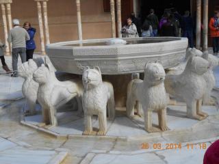 DSCN6096.JPG