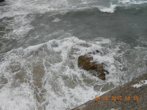 DSCN2921.JPG