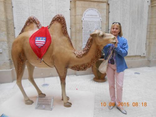 DSCN4054.JPG