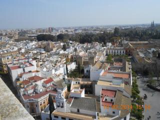 DSCN5286.JPG