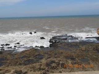 DSCN5578.JPG