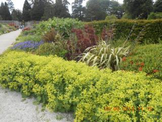 DSCN3280.jpg