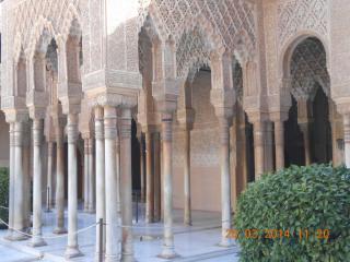 DSCN6099.JPG