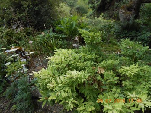 DSCN1578.JPG