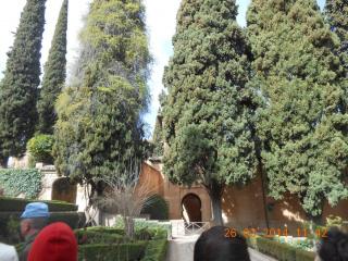 DSCN6136.JPG