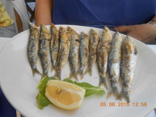 DSCN3075.JPG