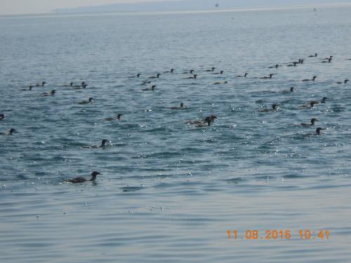 DSCN4297.JPG