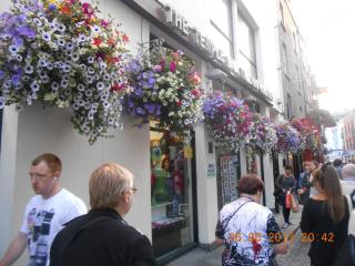 DSCN3125.jpg