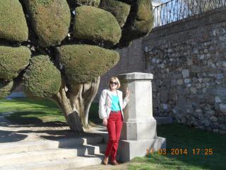 DSCN4966.JPG