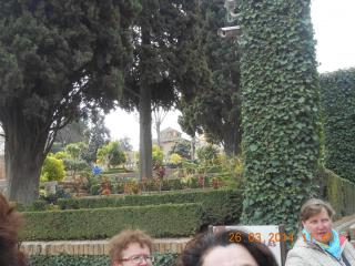 DSCN6135.JPG