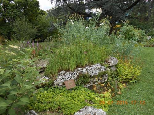 DSCN1588.JPG