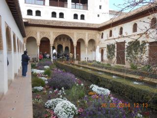 DSCN6164.JPG