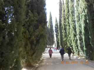 DSCN6178.JPG