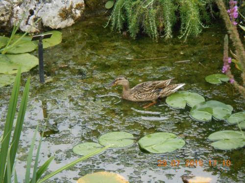 DSCN1581.JPG
