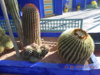 DSCN5417.JPG
