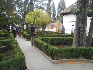 DSCN6172.JPG