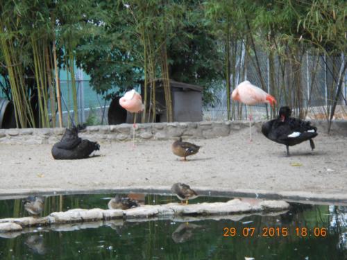 DSCN1646.JPG