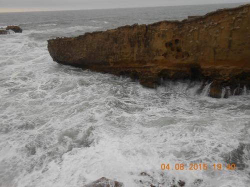 DSCN2953.JPG