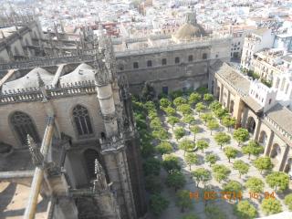 DSCN5293.JPG