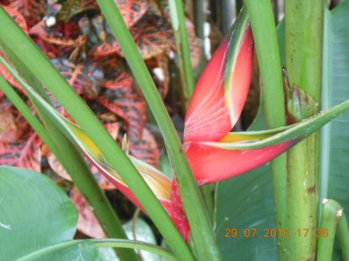 DSCN1616.JPG