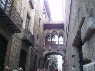 IMGP2763.JPG