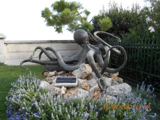 DSCN0630.jpg