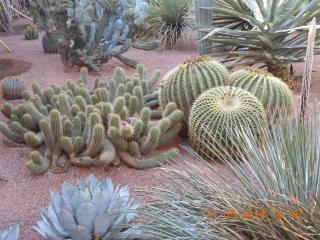 DSCN5420.JPG