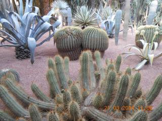 DSCN5425.JPG