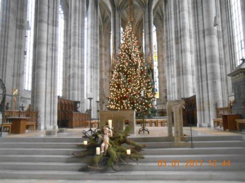 DSCN8482.JPG