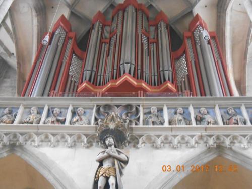 DSCN8481.JPG
