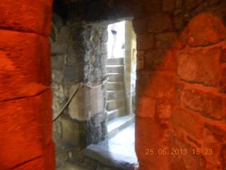 DSCN2961.jpg