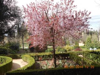 DSCN6177.JPG