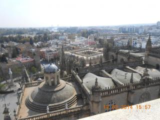 DSCN5276.JPG