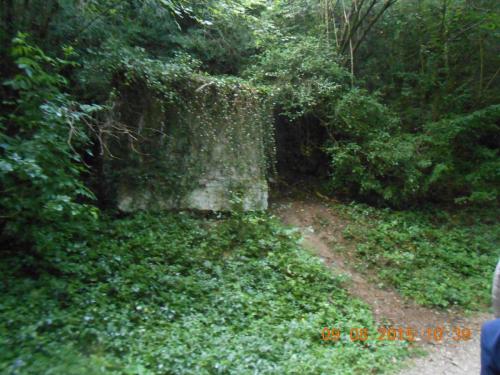 DSCN3896.JPG