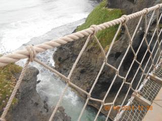 DSCN3466.jpg