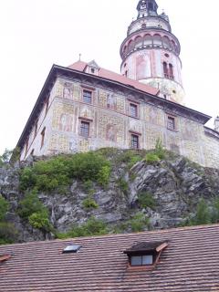 IMGP0247.JPG