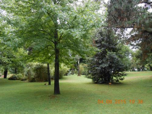 DSCN2800.JPG