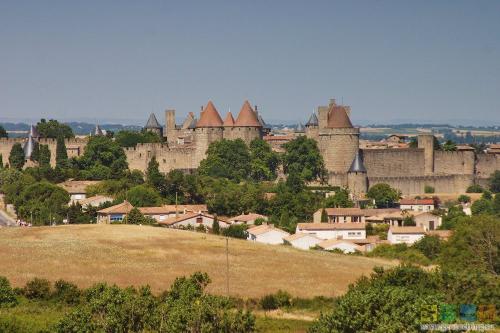 151556.jpg