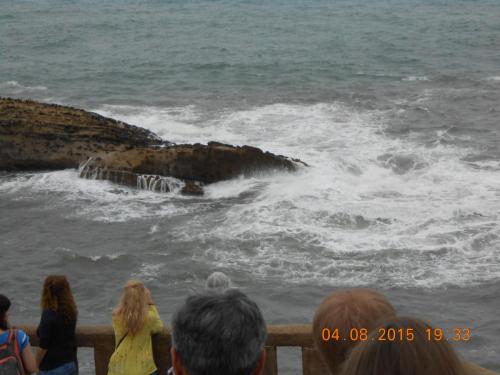 DSCN2940.JPG