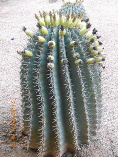 DSCN5423.JPG