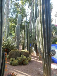 DSCN5418.JPG